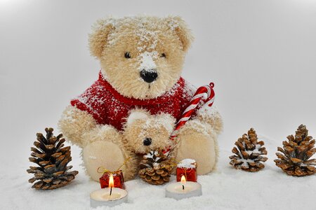 Decoration toy christmas photo