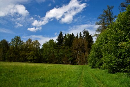 Sky blue path