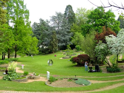 Garden trees grass