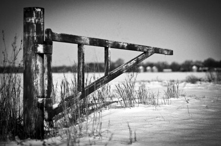 Fence season white photo