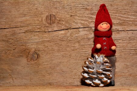 Pine cones wood background