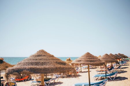 Grassy Beach Umbrellas photo