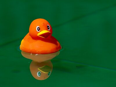 Toys alone in the water