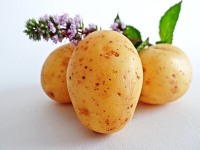 Eat bio nature