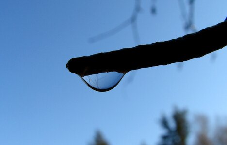 Drops rain rain drops