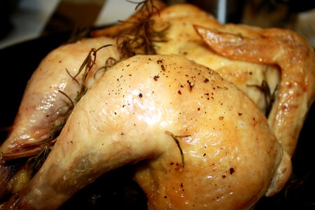 Diet food meat