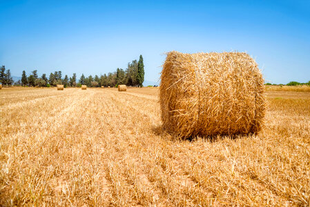 Hay bale on a summers day photo