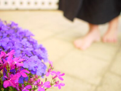 Blue bottom flowers