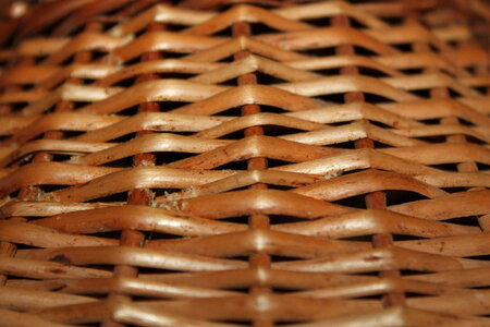 Cane Bamboo Net photo