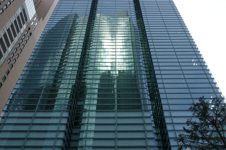 81 Building