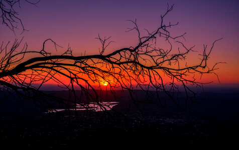 Sunset behind the tree branches beyond the horizon photo