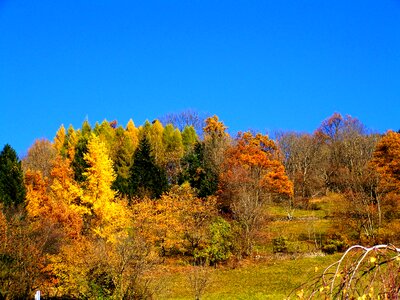 Autumn colorful autumn landscape blue sky