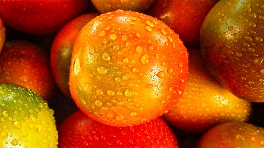 Vegetable nature vegetables