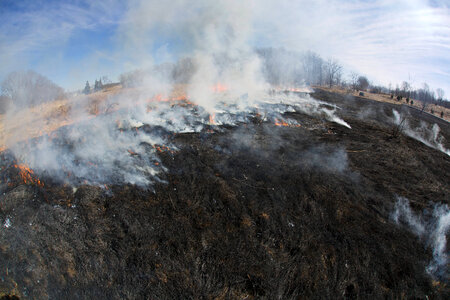 Prescribed Fire-3 photo