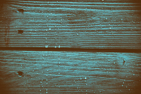 Wet Wood Panels