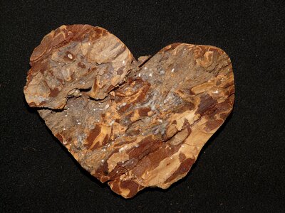 Love romance wood