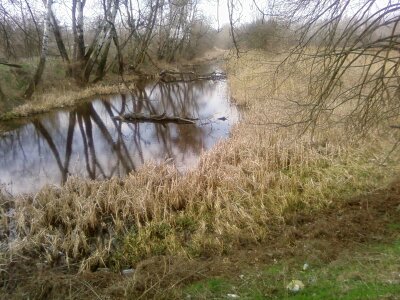 Lake little nature