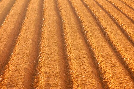 Farming field sulcus