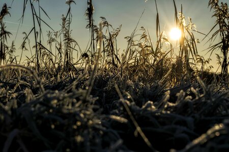 Agriculture cloud dawn