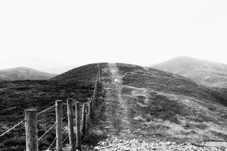 Fence field pathway photo