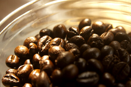 Coffee Beans Bowl 3
