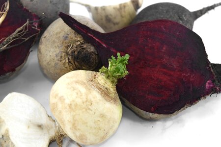 Antibacterial antioxidant beetroot photo