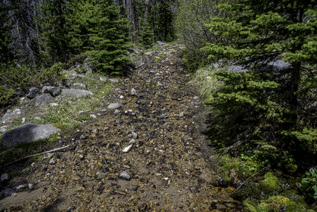 Streams of water rushing down the Mountain Side at Elkhorn Mountains photo