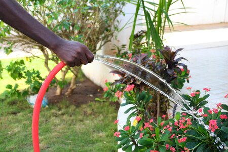 Garden gardener watering