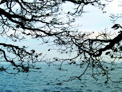 Archipelago leaf coastal