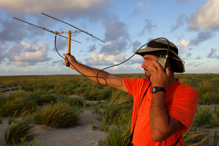 Nihoa Millerbird Translocation-1