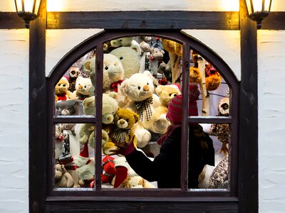 Teddy bear stuffed animal window