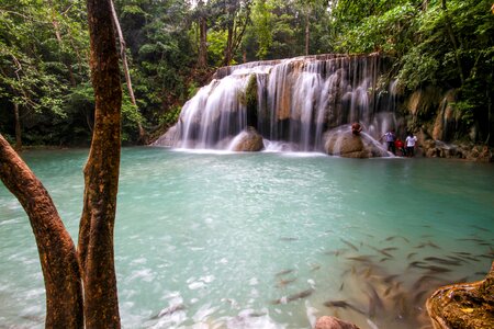 Tropical Waterfall photo