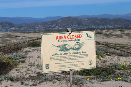 California Least Tern Nesting Area sign photo