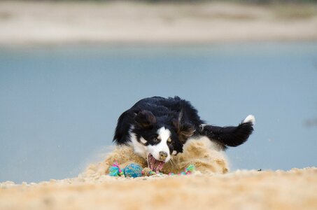 Ball games sandstiebe play photo