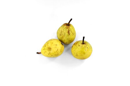 Organic pears tasty photo