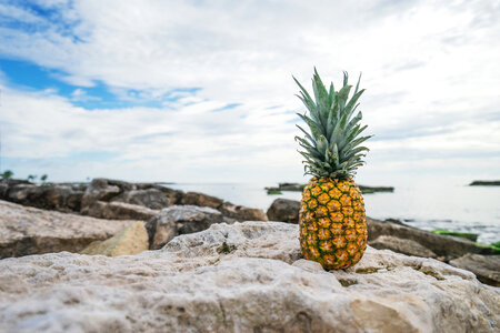 Pineapple on a Rocky Beach photo