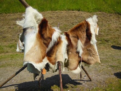 Tree stand medieval market two-colored cattle leather photo