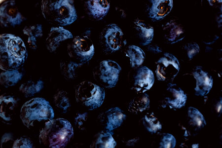 fresh bio blackberry
