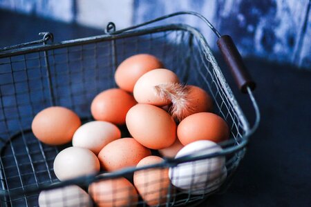 Eggs in Metal Basket photo