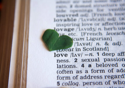 Love Heart Dictionary