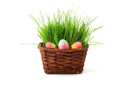 Easter egg eggs