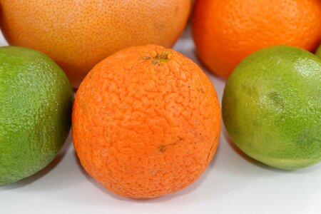 Close-Up grapefruit lemon photo