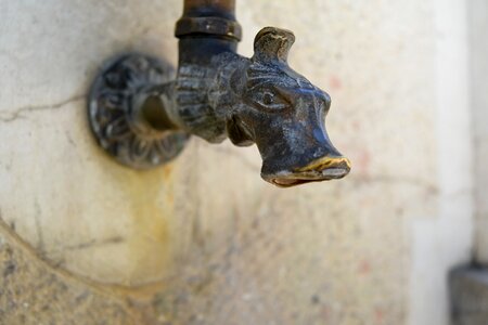 Decoration faucet sculpture photo