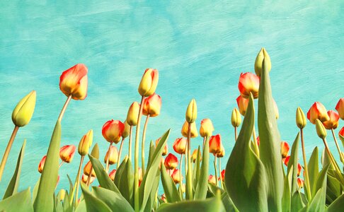Painting fine art vintage