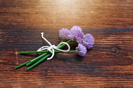 Federal government chive flowers purple
