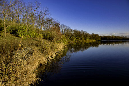 Shoreline Landscape at Le Aqua Na State Park, Illinois photo