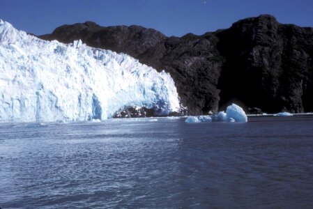 Domestic forest glacier
