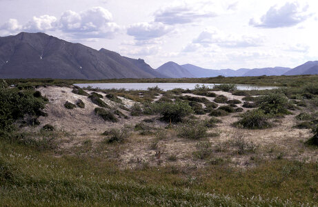 Mud flow area in Summer