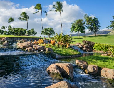 Tropical water pond