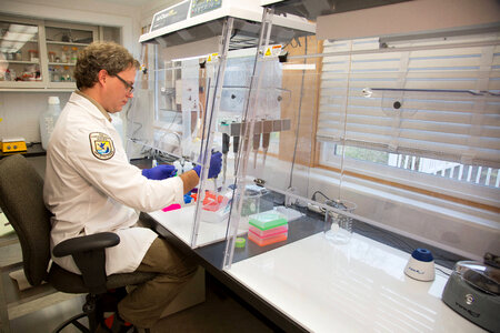 Geneticist at work-1